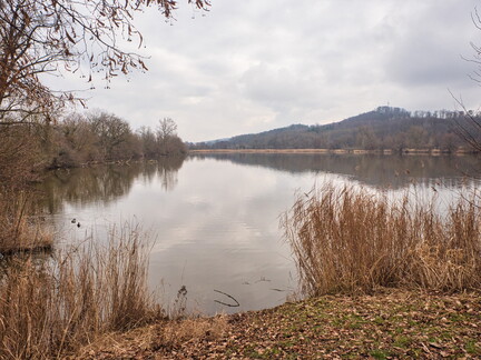 20220123160550-6314a38c